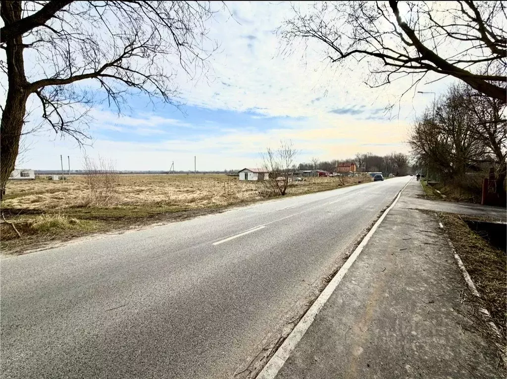 Участок в Калининградская область, Гурьевский муниципальный округ, ... - Фото 1