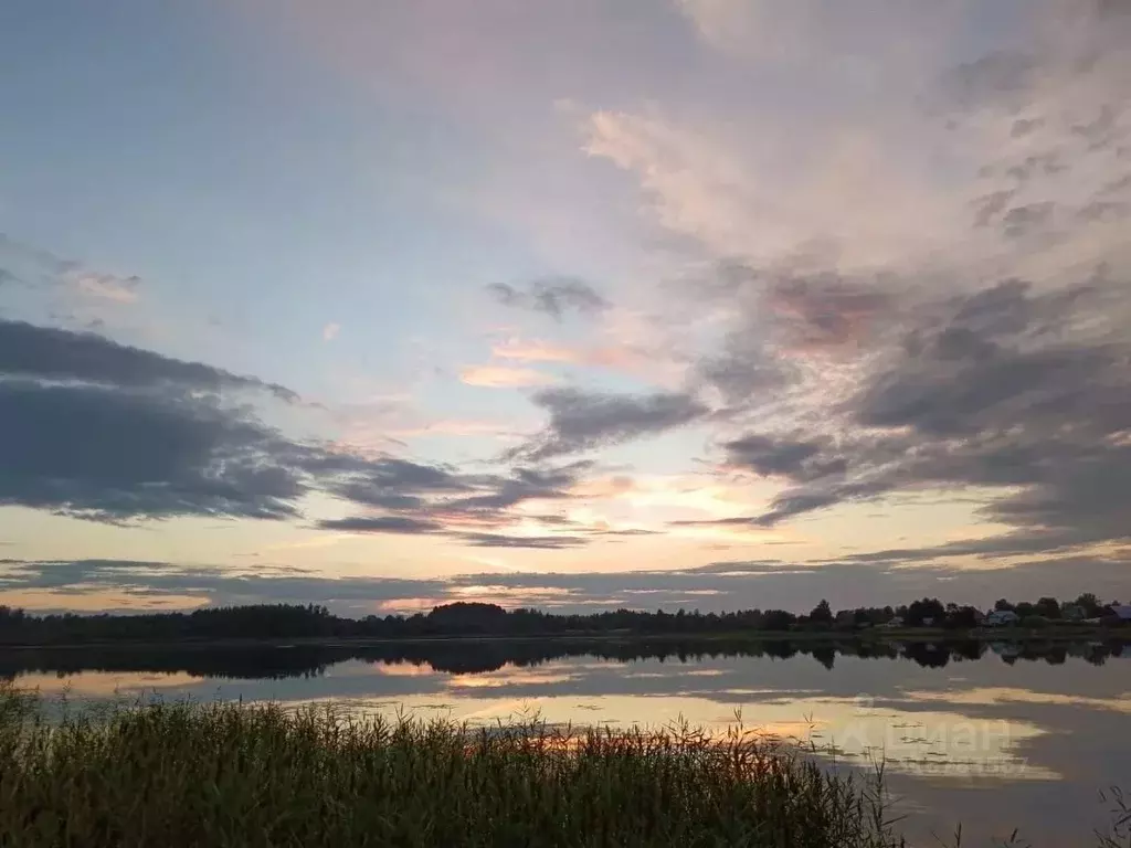 Участок в Вологодская область, Белозерский муниципальный округ, д. ... - Фото 1