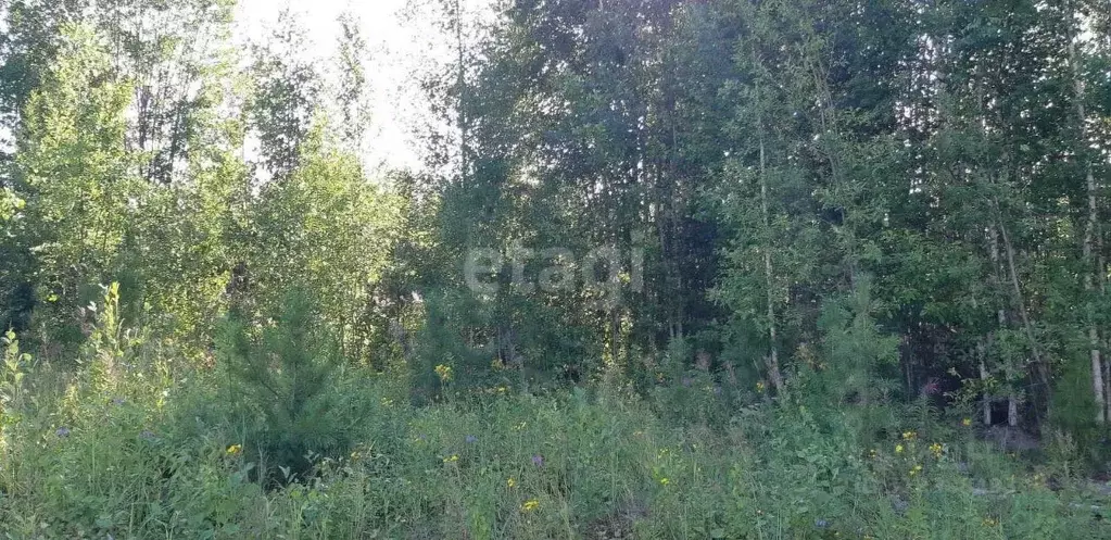 Участок в Ханты-Мансийский АО, Ханты-Мансийск Агата СНТ, 28 (10.0 ... - Фото 0