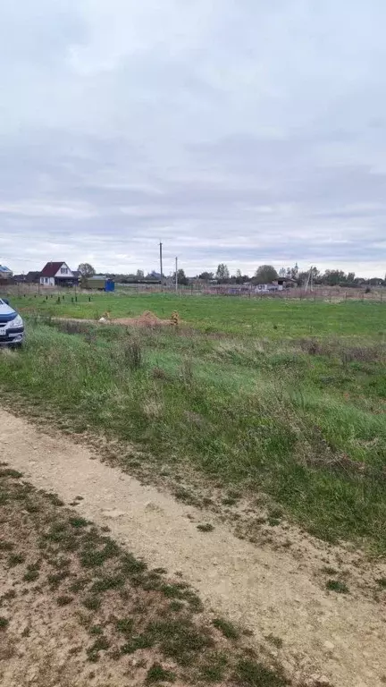 Участок в Новгородская область, Шимское городское поселение, д. Голино ... - Фото 1