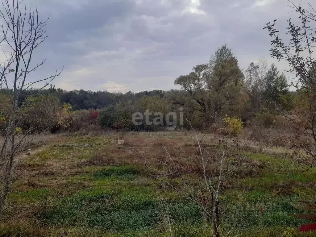 Участок в Белгородская область, Белгород Зеленая Горка садоводческое ... - Фото 0