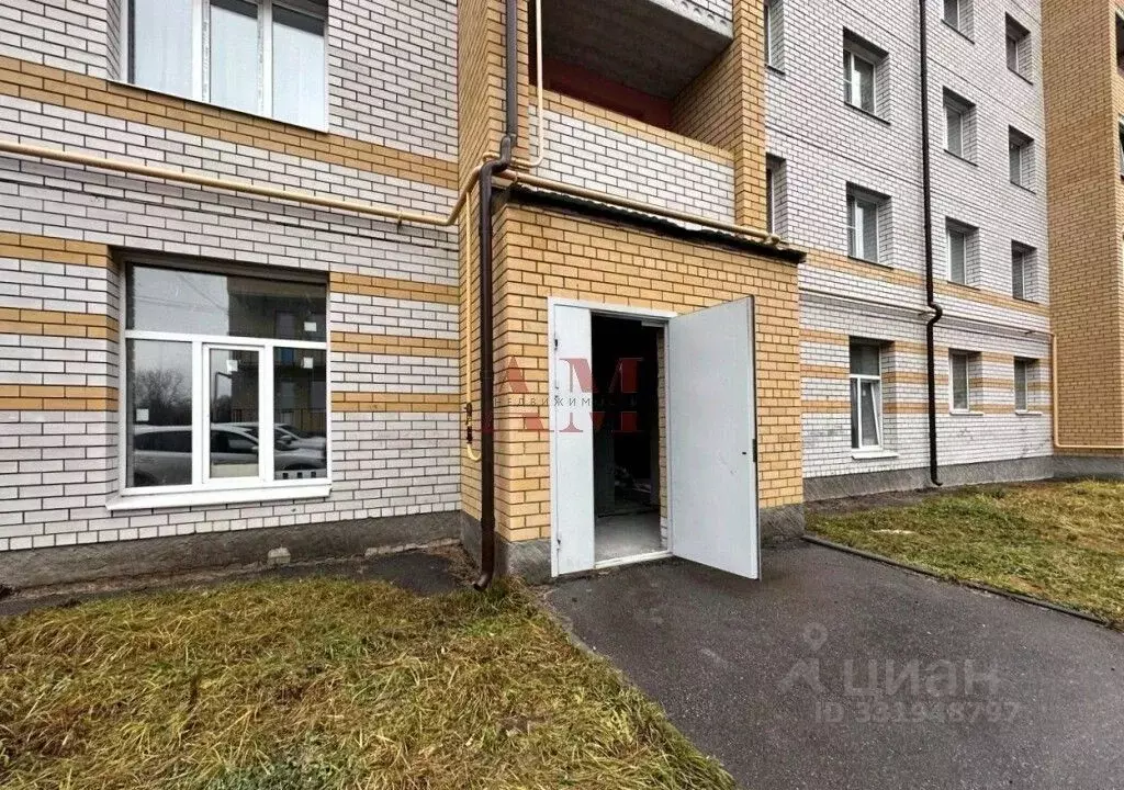 Помещение свободного назначения в Владимирская область, Суздальский ... - Фото 1