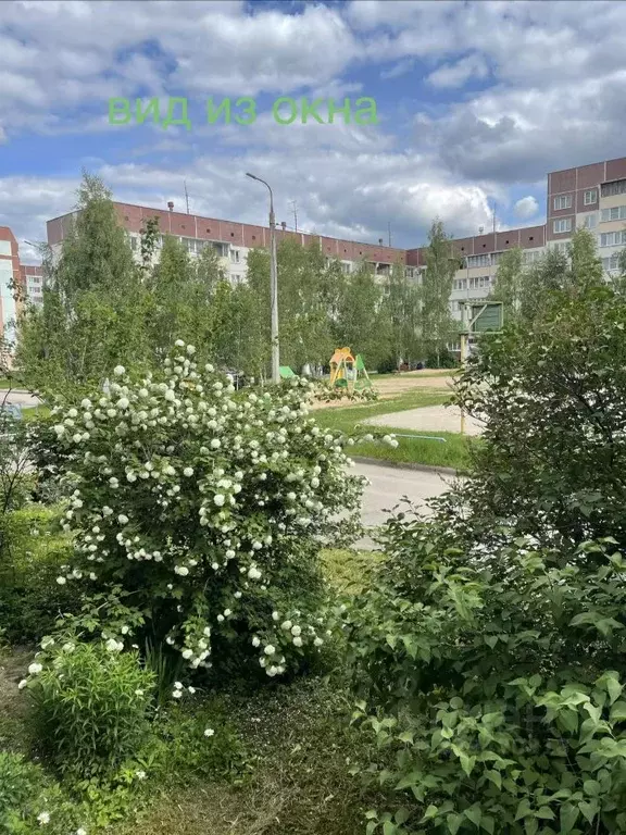 1-к кв. Псковская область, Псков Рижский просп., 81 (37.0 м) - Фото 2
