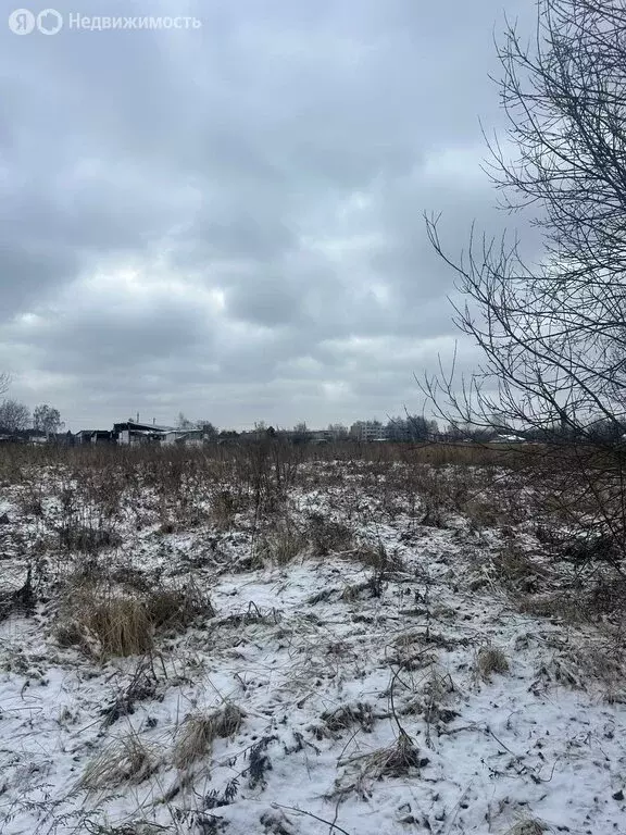 Участок в Орехово-Зуевский городской округ, деревня Грибчиха, 1-й ... - Фото 0