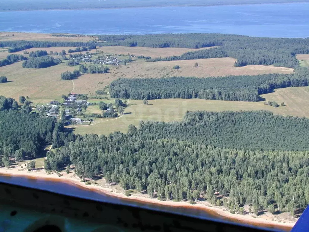 Участок в Ярославская область, Рыбинский муниципальный округ, д. ... - Фото 1