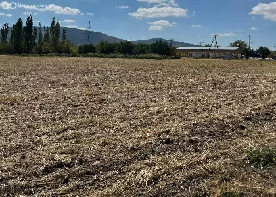 Участок в Жемчужина Крыма, улица Ломоносова (303.57 м) - Фото 2