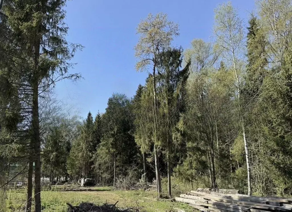 Участок в Московская область, Дмитровский муниципальный округ, д. ... - Фото 2