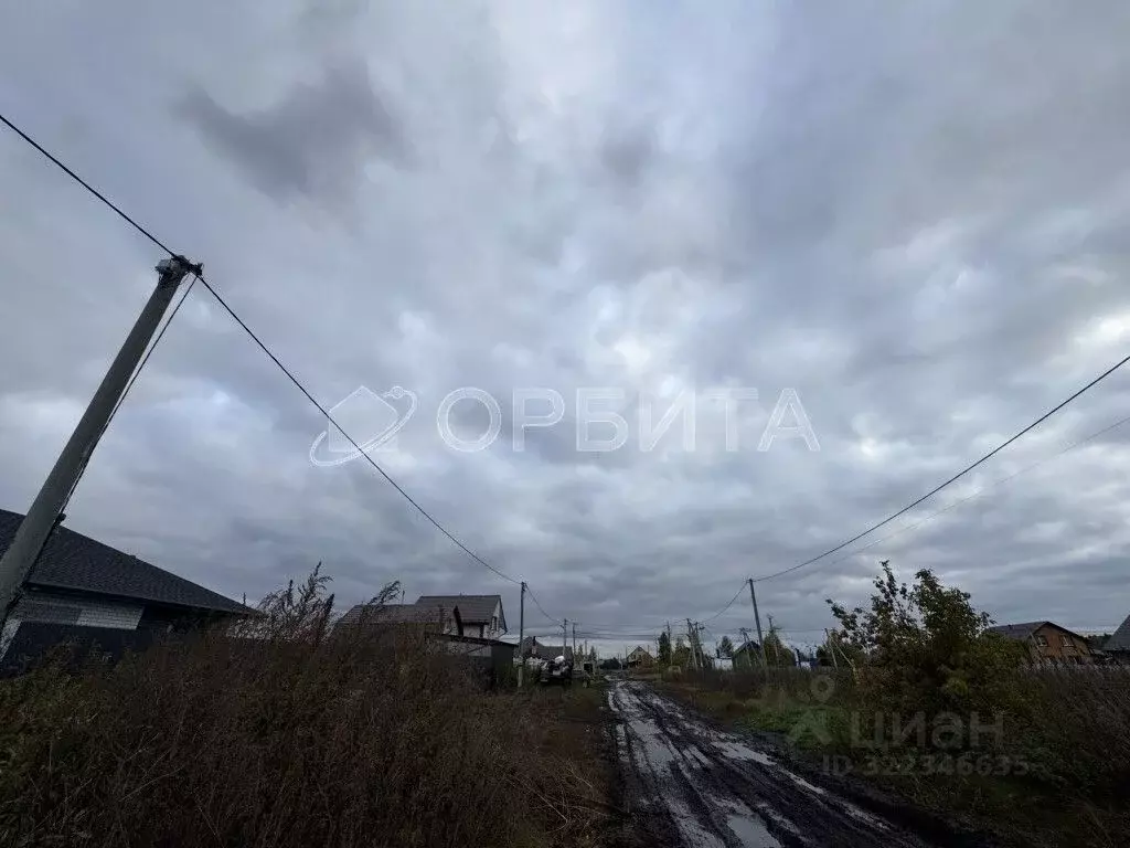 Участок в Тюменская область, Тюменский муниципальный округ, д. Ушакова ... - Фото 1