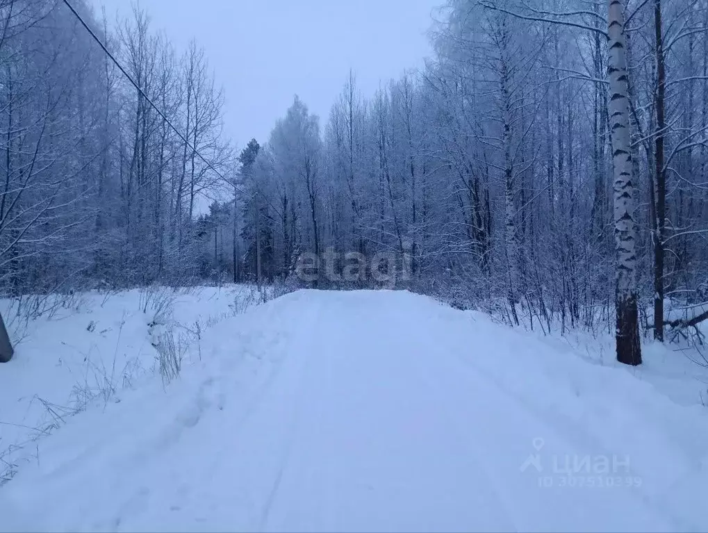 Участок в Вологодская область, Череповец ул. Ванчикова (8.0 сот.) - Фото 1