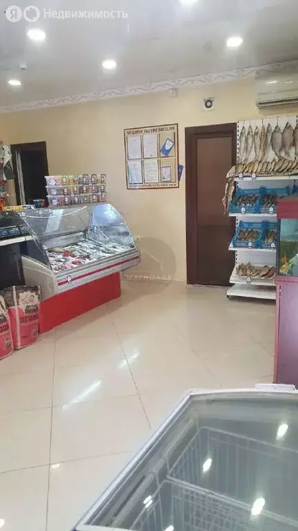 Дом в Анапа, улица Ивана Голубца, 87 (95 м) - Фото 1