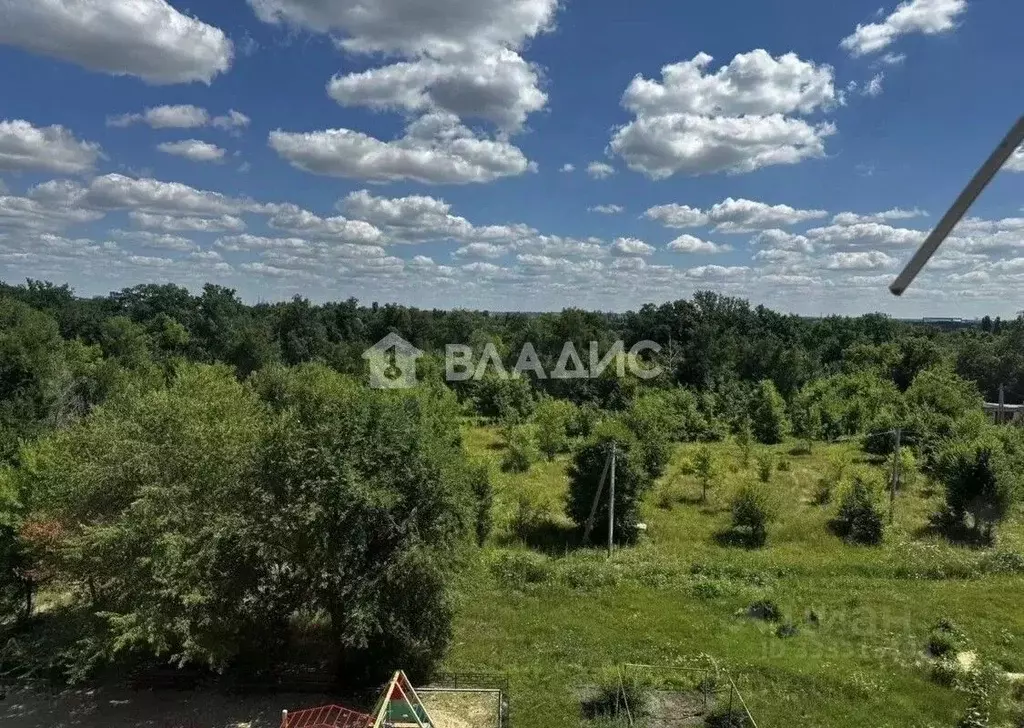 1-к кв. Воронежская область, Воронеж ул. Полякова, 15 (27.8 м) - Фото 1