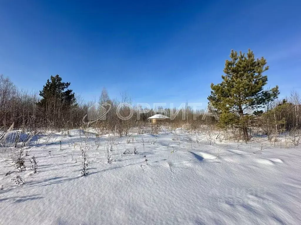 Участок в Тюменская область, Нижнетавдинский район, с. Тюнево  (10.0 ... - Фото 0