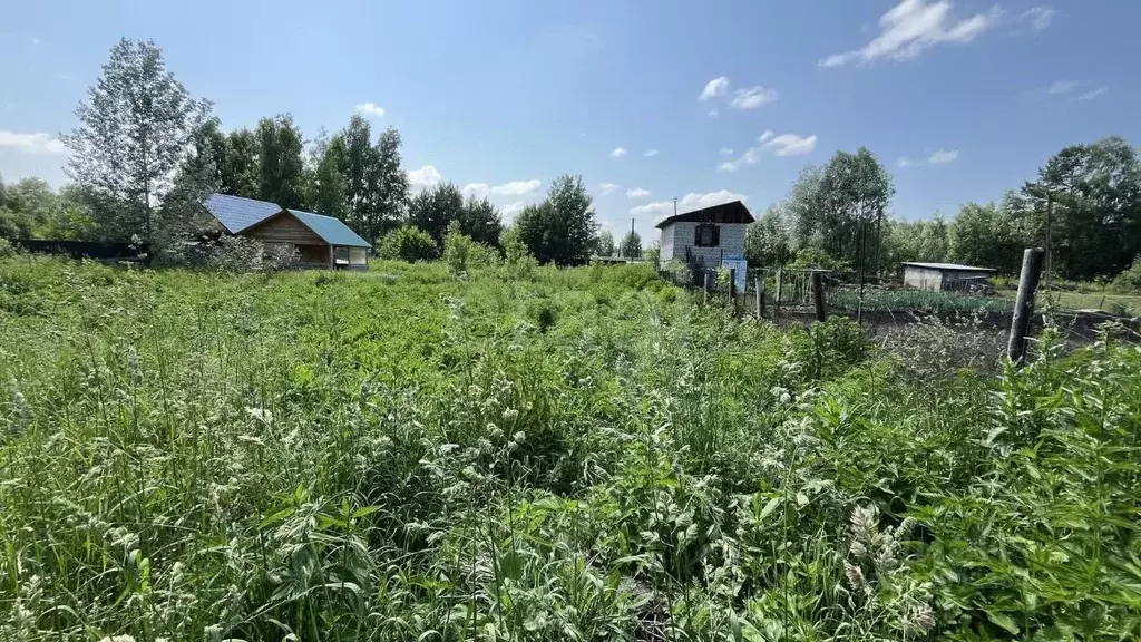 Участок в Алтай, Майминский район, с. Майма Р-256 Чуйский тракт, 442-й ... - Фото 0
