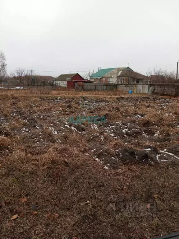 Участок в Белгородская область, Поселок Чернянка городское поселение, ... - Фото 0