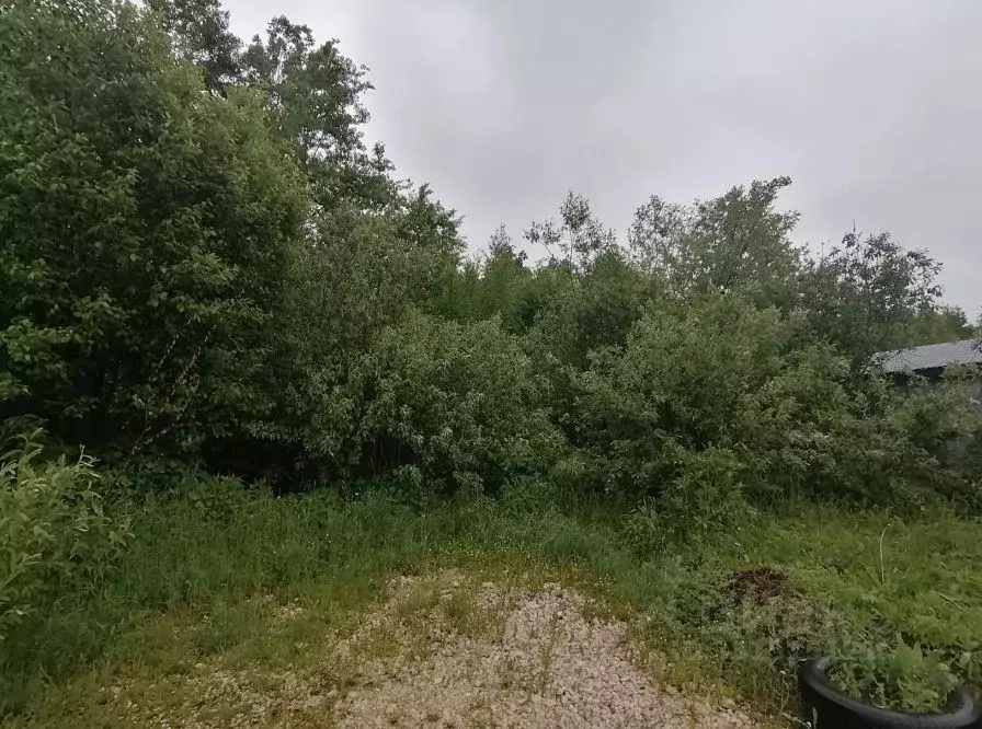 Участок в Московская область, Куровское Орехово-Зуевский городской ... - Фото 1
