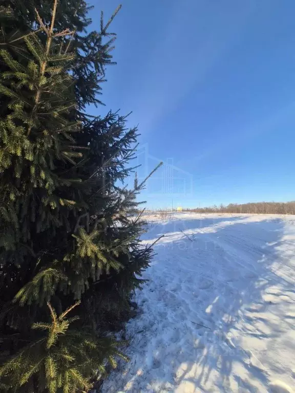 Участок в Московская область, Сергиево-Посадский городской округ, д. ... - Фото 0