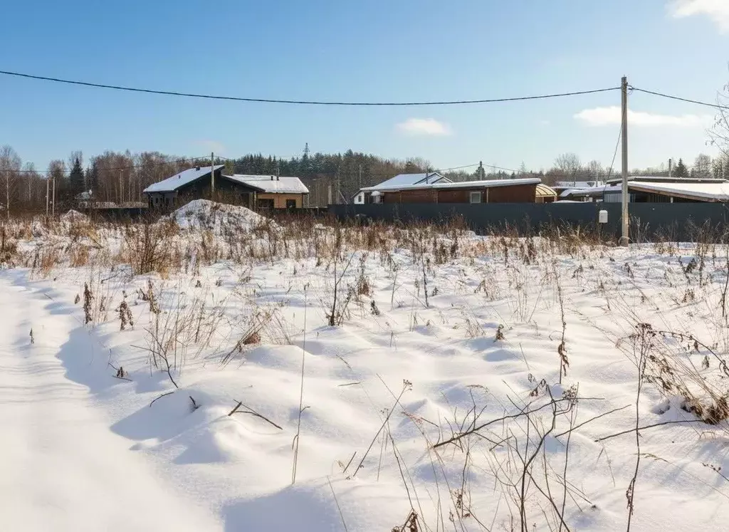 Участок в Московская область, Талдомский городской округ, д. Карманово ... - Фото 1