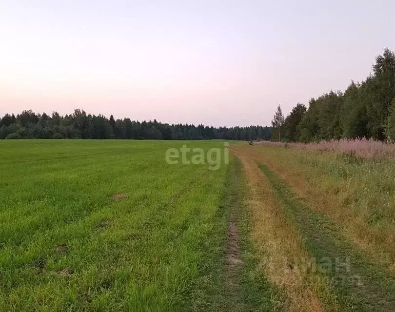 Участок в Ярославская область, Ярославский муниципальный округ, ... - Фото 1