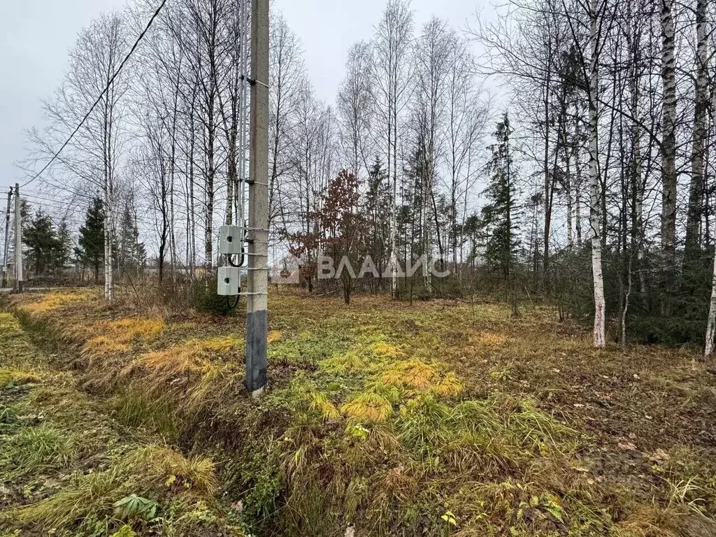 Участок в Московская область, Наро-Фоминский городской округ, Лесная ... - Фото 0