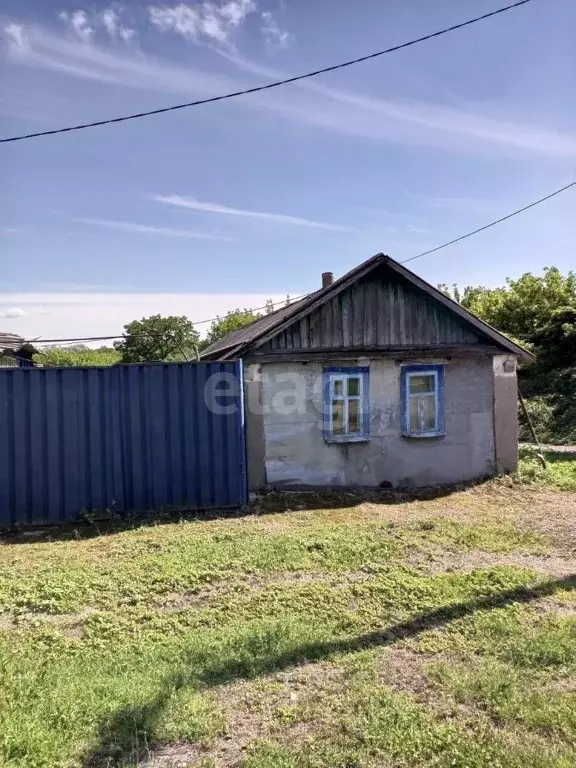 Дом в Белгородская область, Новооскольский муниципальный округ, с. ... - Фото 1