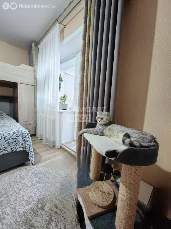 1-комнатная квартира: Благовещенск, улица Василенко, 20/1 (29.2 м) - Фото 1