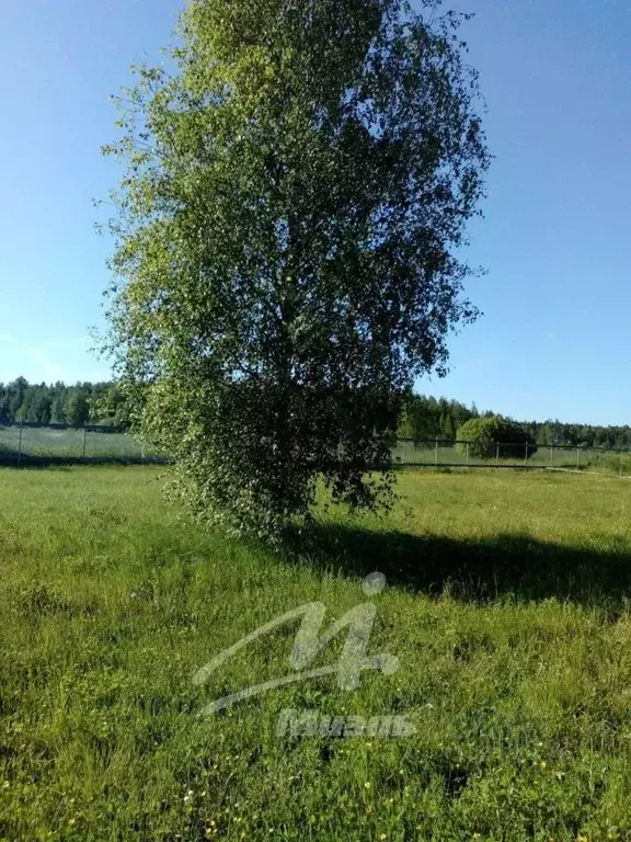 Участок в Московская область, Пушкинский городской округ, д. Луговая ... - Фото 1