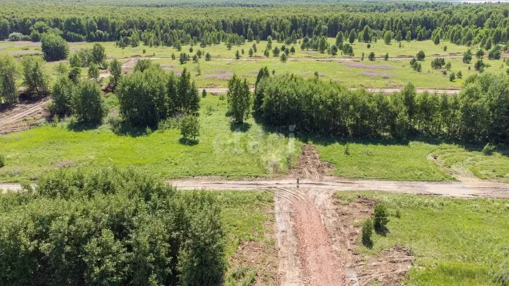 Участок в Тюменская область, Нижнетавдинский район, Лесная сказка СНТ  ... - Фото 0