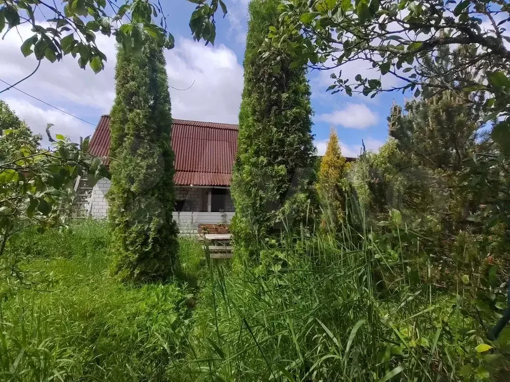 Дача 40,7 м на участке 3,2 сот. - Фото 1