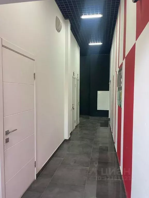 Студия Крым, Симферополь ул. Беспалова, 110М (24.4 м) - Фото 2