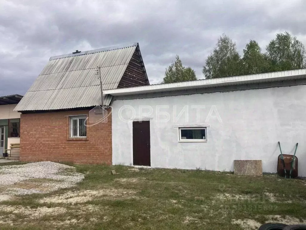 Участок в Тюменская область, Тюменский муниципальный округ, Винзили рп ... - Фото 1