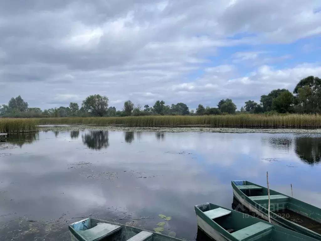 Дом в Липецкая область, Добровский муниципальный округ, с. Панино ул. ... - Фото 0