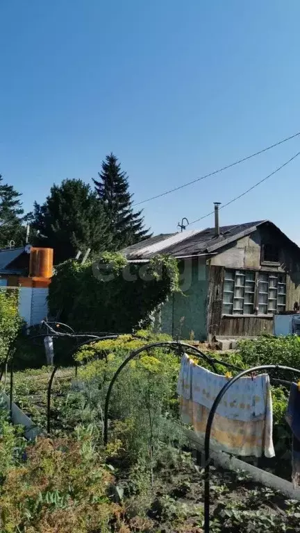 Участок в Новосибирская область, Новосибирск Садовод Сибирь 2 СНТ, 121 ... - Фото 0