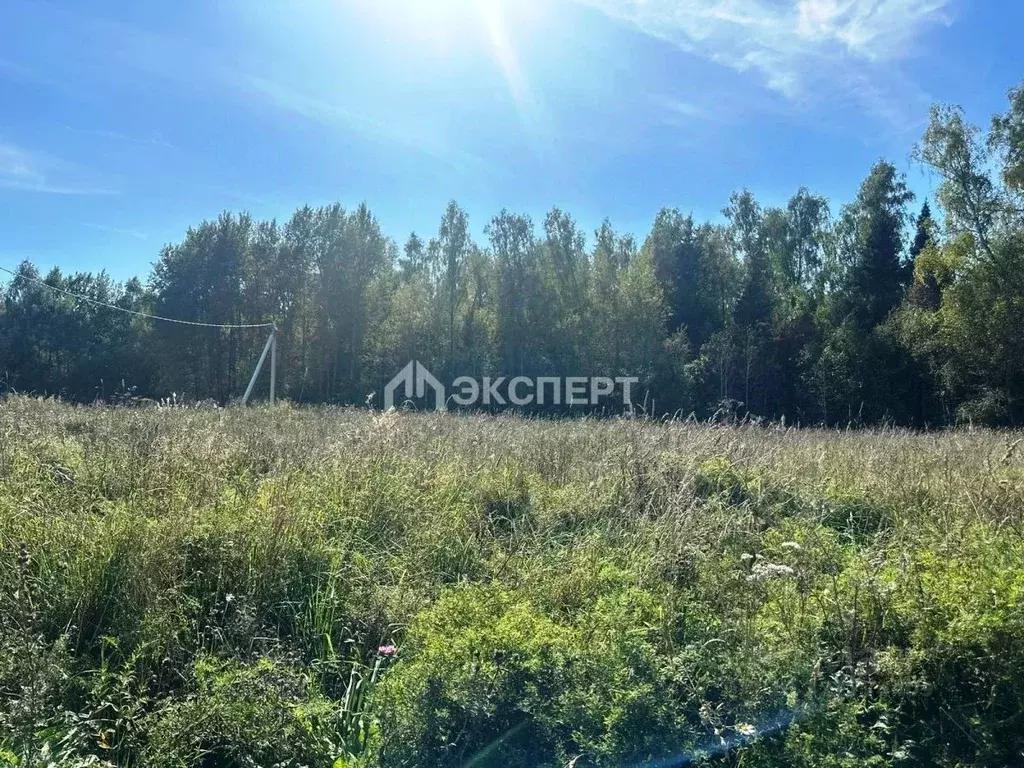 Участок в Московская область, Павлово-Посадский городской округ, д. ... - Фото 1