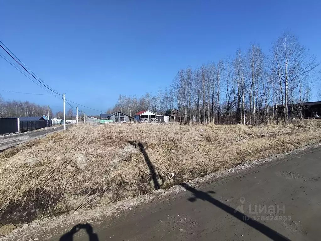 Участок в Ленинградская область, Всеволожский район, Рахьинское ... - Фото 1