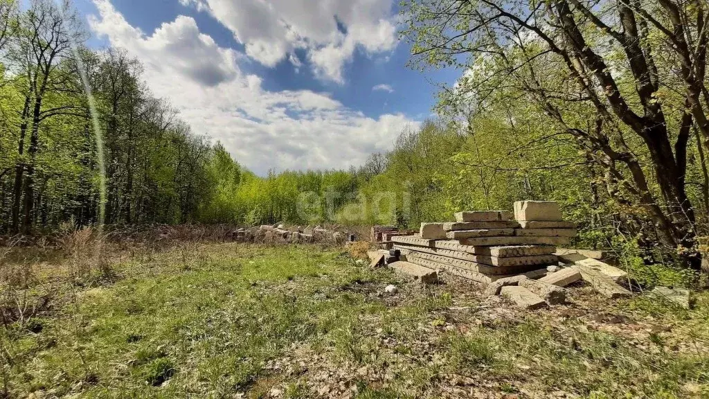 Участок в Мордовия, Саранск городской округ, Ялга рп, Южная промзона  ... - Фото 1