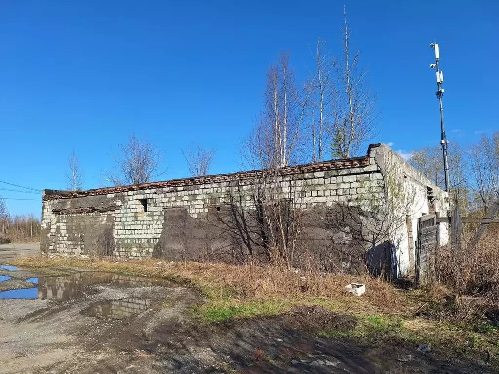 Торговая площадь в Свердловская область, Нижний Тагил ул. Геологов, 33 ... - Фото 1