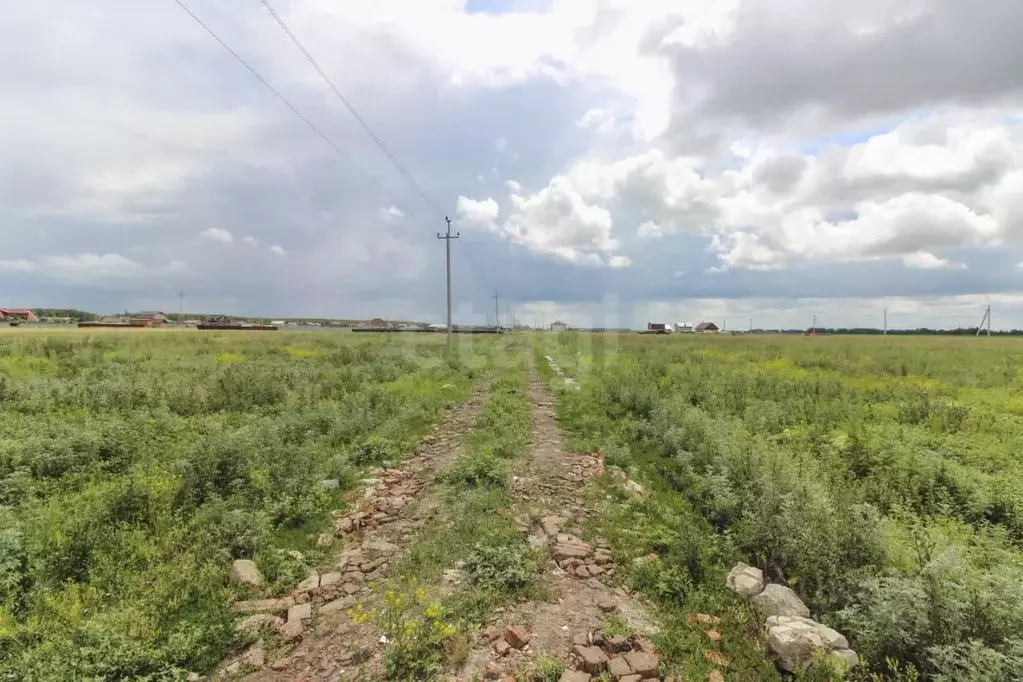 Участок в Омская область, Азовский Немецкий Национальный район, д. ... - Фото 1
