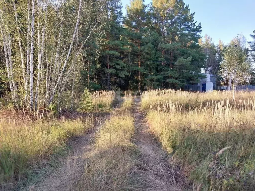 Участок в Калужская область, Дзержинский район, с. Дворцы  (540.9 ... - Фото 2