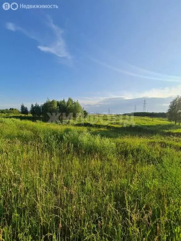 Участок в посёлок Октябрьский, Российская улица (16 м) - Фото 0