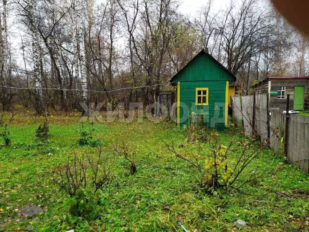 Дом в Новосибирская область, Новосибирский район, Барышевский ... - Фото 1
