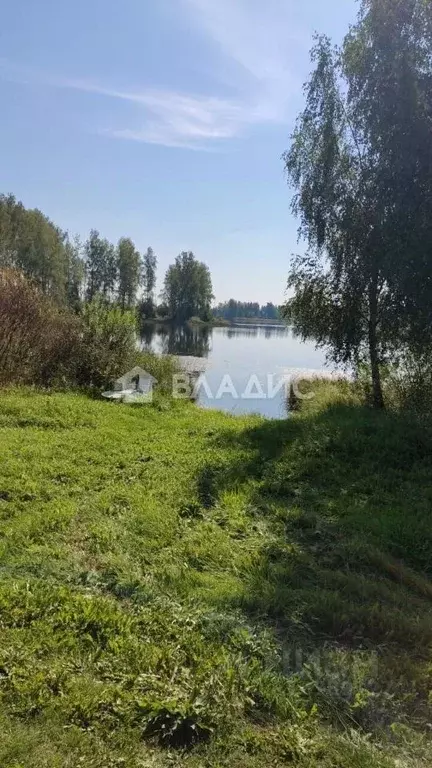 Участок в Новгородская область, Демянский муниципальный округ, д. ... - Фото 0
