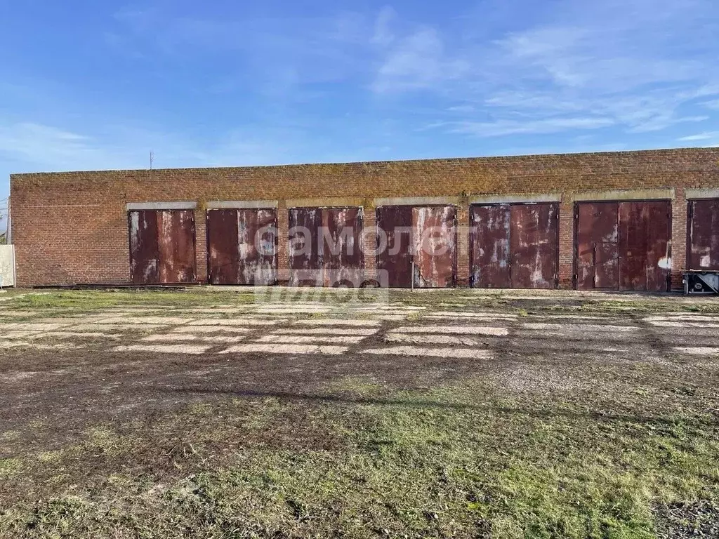 Склад в Курская область, Мантуровский сельсовет, с. Мантурово ул. ... - Фото 2