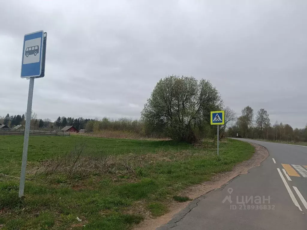 Участок в Новгородская область, Новгородский район, Савинское с/пос, ... - Фото 1
