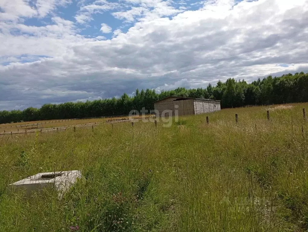 Участок в Коми, Сыктывдинский район, с. Выльгорт ул. Виталия Гилева ... - Фото 0