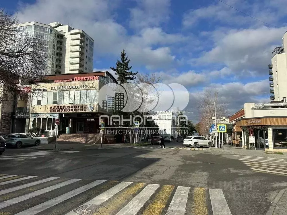 Офис в Краснодарский край, Анапа ул. Пушкина, 17 (87 м) - Фото 2