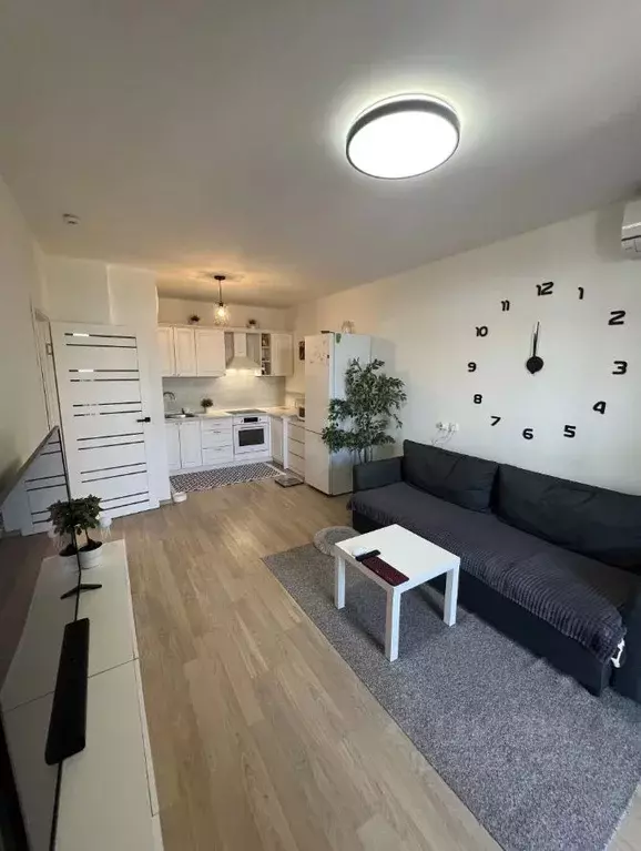 Студия Санкт-Петербург Партизанская ул., 5 (23.5 м) - Фото 1