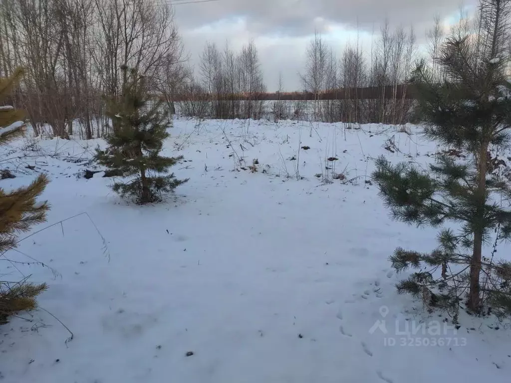 Участок в Московская область, Клин городской округ, д. Бирево  (10.0 ... - Фото 2