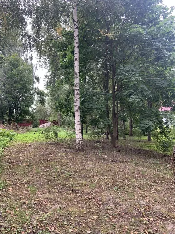 Участок в Санкт-Петербург Деревня Рыбацкое тер.,  (6.0 сот.) - Фото 2