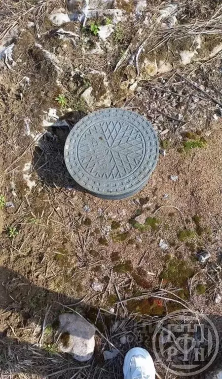 Участок в Ленинградская область, Лужский район, Заклинское с/пос, д. ... - Фото 2