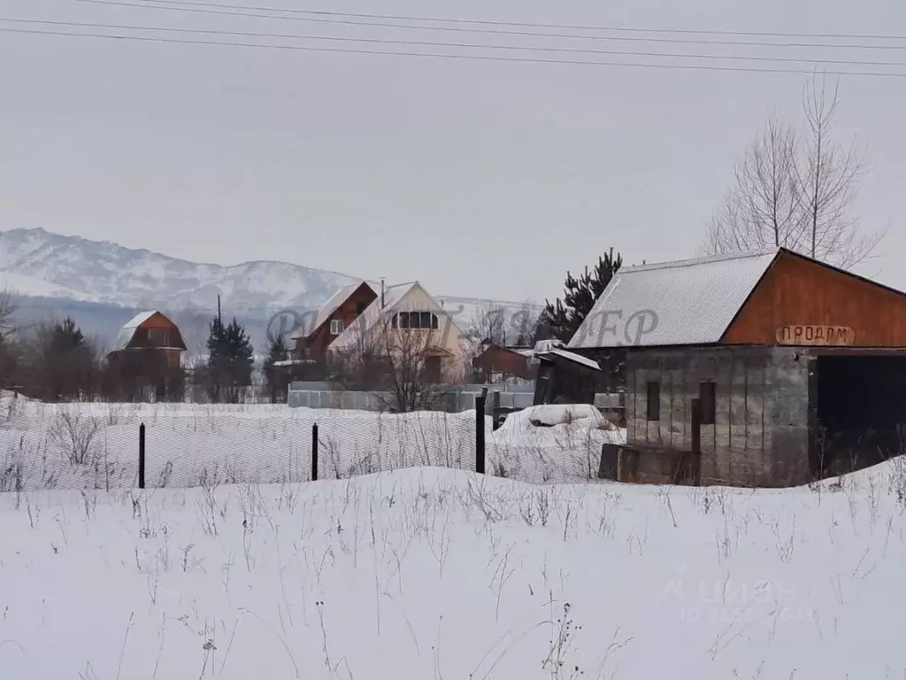 Участок в Алтайский край, Советский район, с. Платово Набережная ул. ... - Фото 2